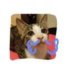 ma.mu.p（個別スタンプ：4）