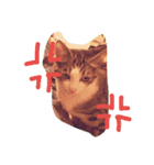 ma.mu.p（個別スタンプ：5）