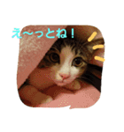 ma.mu.p（個別スタンプ：6）