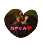ma.mu.p（個別スタンプ：12）