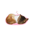 Curry Dessert's Cats Home - Lively Cats1（個別スタンプ：3）