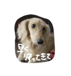 みっちぇる！（個別スタンプ：24）