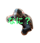 クサガメの海くん（個別スタンプ：11）