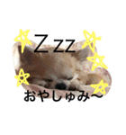 まおたん第1巻（個別スタンプ：30）