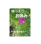 優しい敬語のお花達2（個別スタンプ：15）