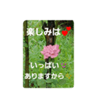 優しい敬語のお花達2（個別スタンプ：28）