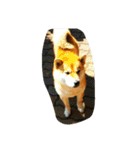 kuutyan（個別スタンプ：31）