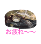 とんちゃんの1日（個別スタンプ：2）