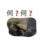 とんちゃんの1日（個別スタンプ：4）
