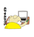 アメフトくま（個別スタンプ：24）