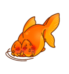 Phathong BoB（個別スタンプ：14）