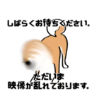 どうぶつニュース（個別スタンプ：1）