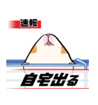どうぶつニュース（個別スタンプ：2）