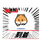 どうぶつニュース（個別スタンプ：4）