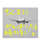 飛行機のつぶやき006（個別スタンプ：12）