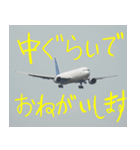 飛行機のつぶやき006（個別スタンプ：16）