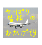 飛行機のつぶやき006（個別スタンプ：29）