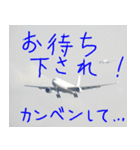 飛行機のつぶやき006（個別スタンプ：30）