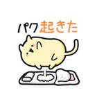 パクさん専用！名前スタンプ（個別スタンプ：13）