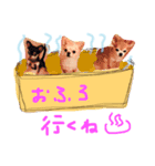 チワちゃん's（個別スタンプ：8）