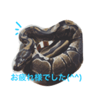 アクアテラスの生き物係3 ヘビさん（個別スタンプ：3）