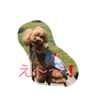 のあのひとりごと（個別スタンプ：4）