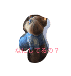 のあのひとりごと（個別スタンプ：5）