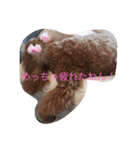 のあのひとりごと（個別スタンプ：6）