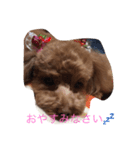 のあのひとりごと（個別スタンプ：8）