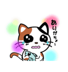 MIKE 猫 スタンプ 第一弾（個別スタンプ：15）