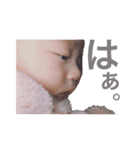 りのたん（個別スタンプ：13）