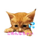 菊・のり・えま（個別スタンプ：4）