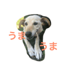 ラブピー（個別スタンプ：7）