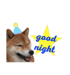 しば犬 しょん（個別スタンプ：3）