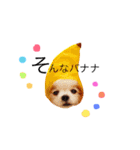 くれじゅぴちゃん（個別スタンプ：2）