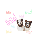 くれじゅぴちゃん（個別スタンプ：8）