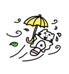 I am miou miou（個別スタンプ：30）