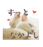 みみとりん（個別スタンプ：6）