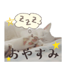 みみとりん（個別スタンプ：7）