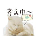 みみとりん（個別スタンプ：13）