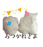 みみとりん（個別スタンプ：16）