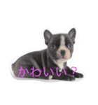 マイブヒ6（個別スタンプ：3）