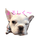 マイブヒ6（個別スタンプ：5）