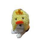 ハナとともだち（個別スタンプ：5）