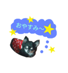 ぷーこりんスタンプ！（個別スタンプ：3）