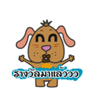 Plz Brown dog（個別スタンプ：29）