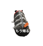 ウチのニャン吉さん（個別スタンプ：9）