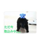 チビレオくん（個別スタンプ：31）