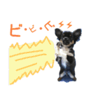 チビレオくん（個別スタンプ：34）