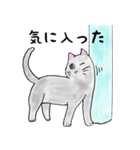 黒猫達の日常（個別スタンプ：16）